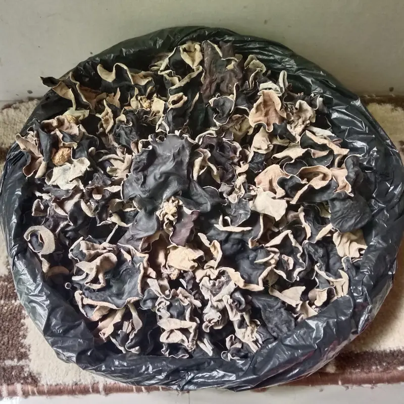 Jamur kuping kering fresh 2