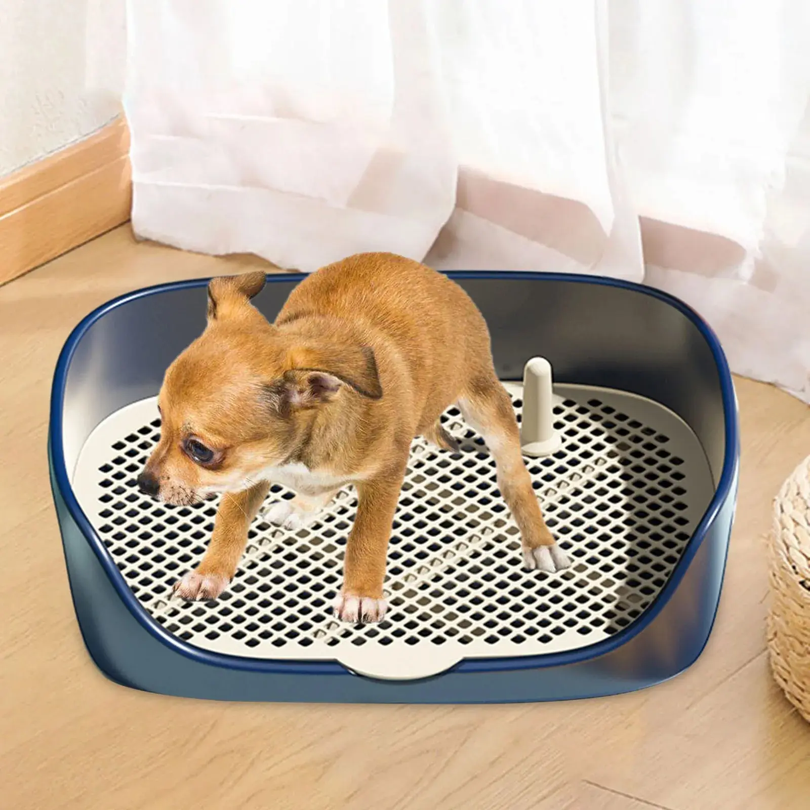 Pet Toilet Training Pee Poop Tempat Latihan Pipis Buang Kotoran Anjing Kucing 40x28cm WMO YUBB-40