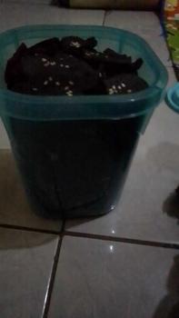Product Review of Aneka kue kering/ Nastar keju/ kastangel keju dan kue kering lainnya Food Frozen Makanan from y**h 0