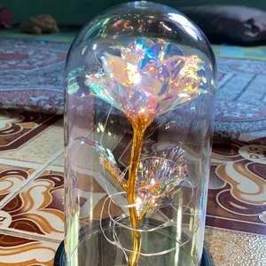 igoods.rose Kado Hari Ibu Mawar Plastik Hadiah Hari Valentine Warna-warni Silau Penuh Suasana (Kemasan kotak) Girlfriend gift