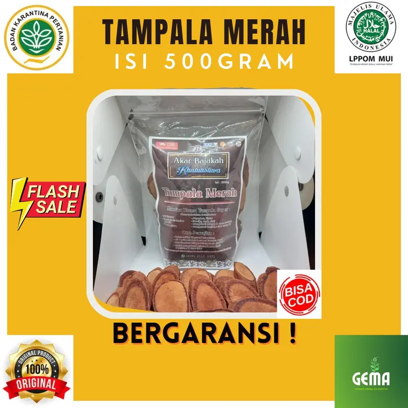 Akar Bajakah Tampala Merah / Kayu Bajakah Tampala Merah (Asli Dari Kalimantan) Kanker/Tumor/Diabestes/Kista/Darah Tinggi/Ambeyen/Benjolan/Gondok/Kelenjar 0