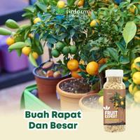 Gambar INFARM - Pupuk Pelebat Buah Pupuk Fruit Expert Asupan Nutrisi Mengurangi Kerontokan Bunga dan Buah Melebatkan Bunga dan Buah Menutrisi Tumbuhnya Tanaman Buah Segar Bebas Hama Tanaman - Granul dari Infarm Kota Surabaya 3 Tokopedia