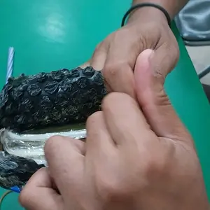 ( PAKET HEMAT 5 BOX / Kemasan Plastik KINOKI 50 PADS ) KINOKI GOLD DETOX KOYO KAKI ASLI HERBAL ORIGINAL