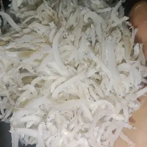 Teri Nasi Super Sedang Superantul dan Fress - Rasa Gurih Khas - Goreng, Food Masakan Makanan