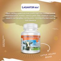 Gambar KALBE Lagantor Bolus Obat Cacing Spektrum Luas Sapi & Kerbau - 40 Bolus dari Kalbe Animal Health Kota Administrasi Jakarta Timur 3 Tokopedia
