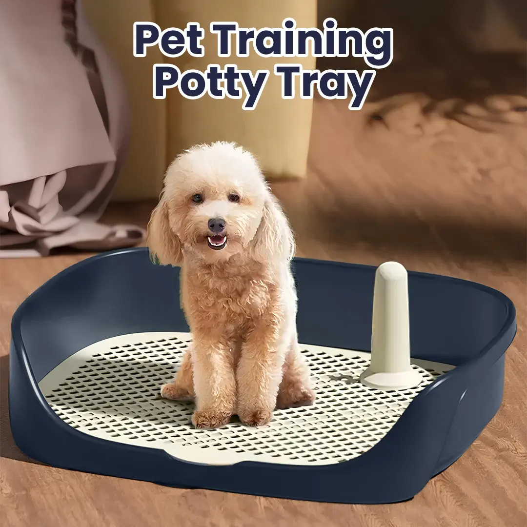 Mutiaramall - Toilet Training Hewan | Pet Potty Tray | Baki Lepas Pasang