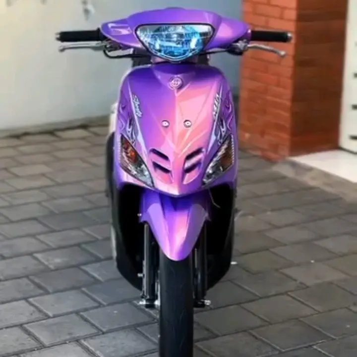 Cat warna golden lilac / golden violet / violet effec gold pu Car 0