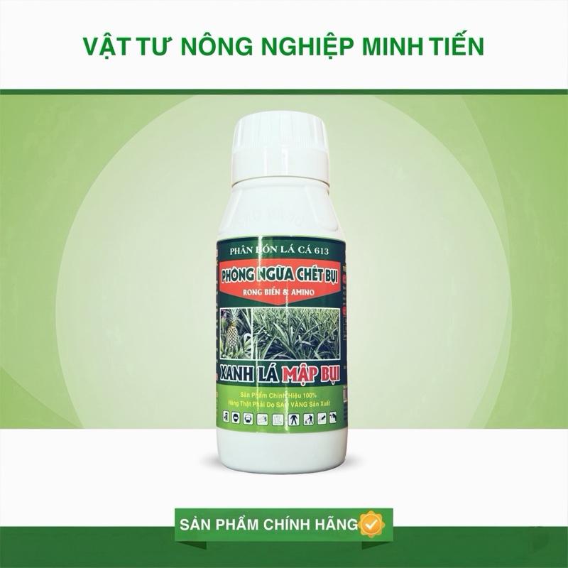 Phân bón lá chuyên khóm xanh lá mập bụi chai 500ml 