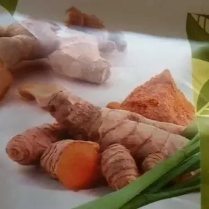 TEH KUNYIT,JAHE & SERAI/TUMERIC GINGER with LEMONGRASS TEA Herbal Tea Isi 30 Teh Celup jsr dr zaidul akbar