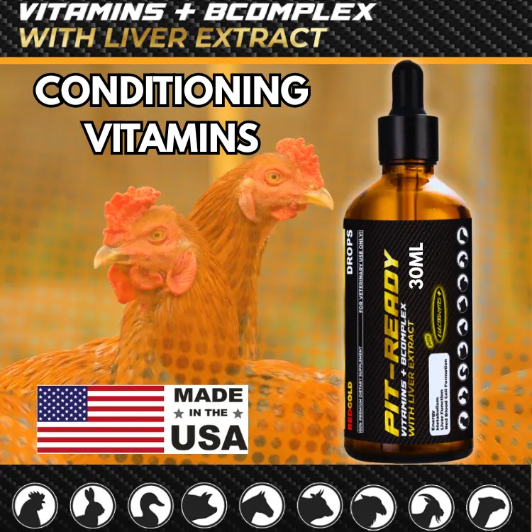 l carnitine for gamefowl VOLTPLEX KQ 