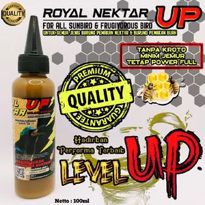 Royal Nektar Pakan Harian dan Lomba Kolibri Ninja Aman Tanpa Kroto, Konin Gacor Bongkar Materi Isian Ngotot Powerfull