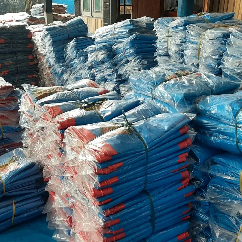 Terpal Plastik A12 Korea ukuran 5x7 Meter Waterproof Sudah Ada Lobang Mata Ayam Dan Tali 4