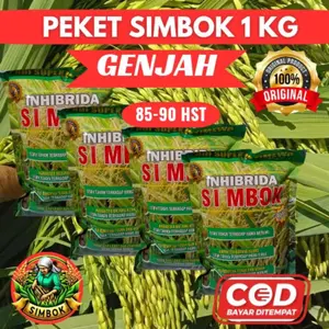 ( 1KG GENJAH ) BENIH PADI SIMBOK GENJAH KUALITAS UNGGUL original exp 2026/10 bibit