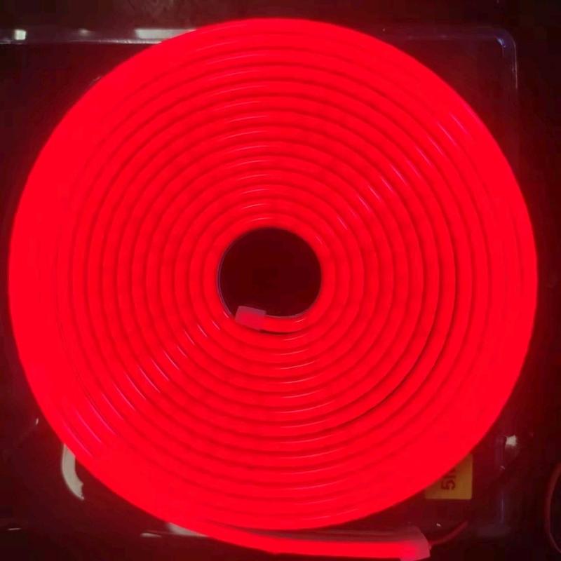Neon led strip light flexinle DC 12v 5 meter WATERPROOF 6