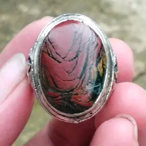 Natural Tiger Skin Loreng Macan Unik dan Antik