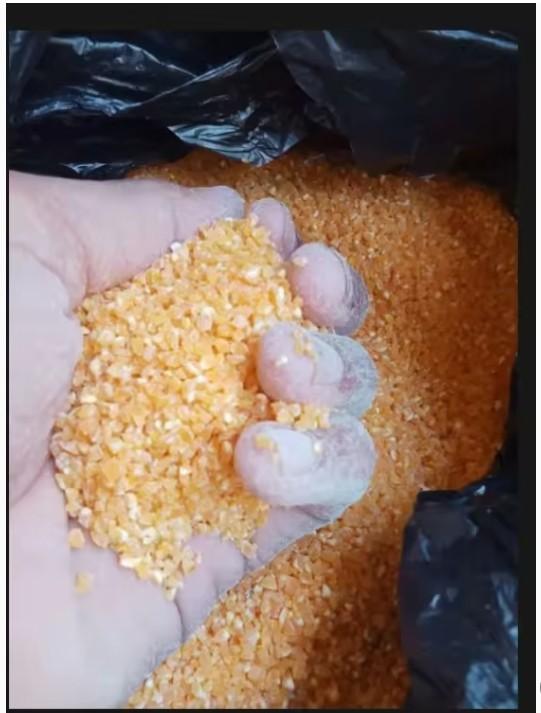 Product Introduction of BERAS JAGUNG ASLI MADURA  kwalitas super 6