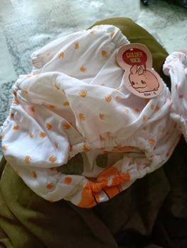 Product Review of Cd Anak Perempuan Golden Nick Kuping | Celana Dalam Bahan Katun Tebal Elastis Isi 3pcs from #**i #**# 1