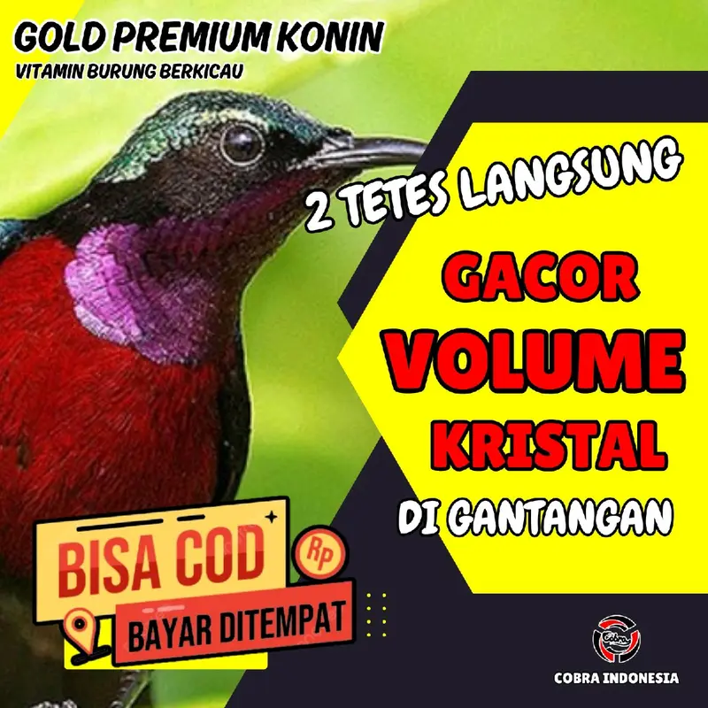 Vitamin Burung Konin Kolibri Ninja Gacor 3