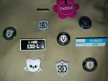 Product Review of BROS KPOP LOGO EXO NCT NEWJEANS BOA SVT WAYV SHINEE TVXQ PIN KPOP from ‧**‧ 0