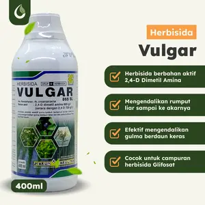Vulgar 865SL 400ml Herbisida Dimetil Amina Obat Rumput Padi dan Tebu