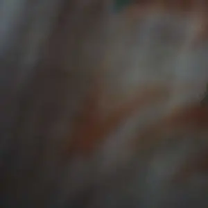 2in1 Paket Alat Parut Saringan Mpasi Bayi Stainless Steel Serbaguna Feeding Baby Food Maker Strainer Grater yang aman