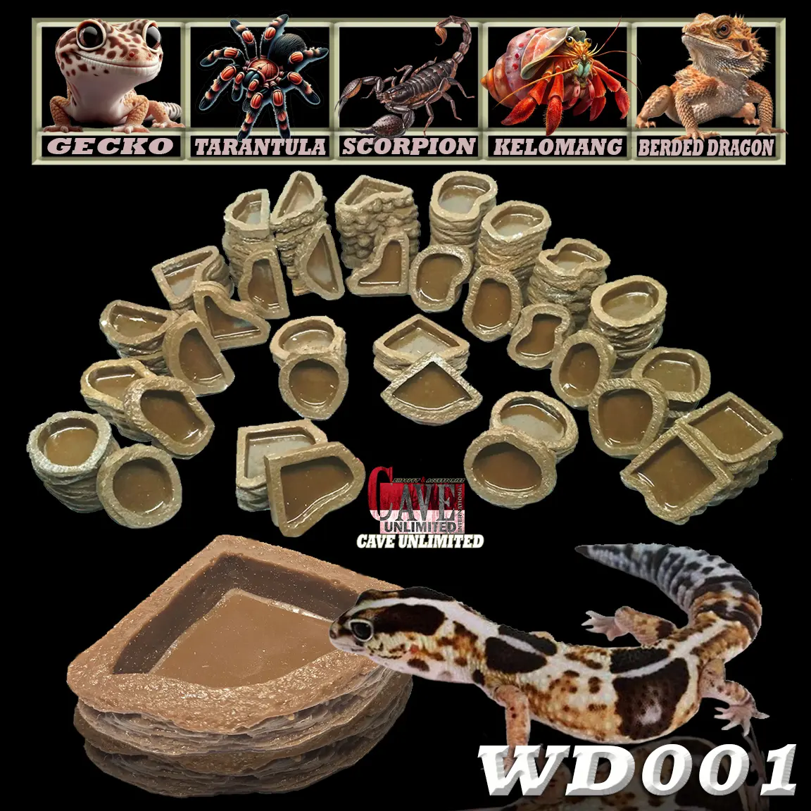 WD001 WATERDISH WATER FEEDING DISH TEMPAT MAKAN MINUM LEOPARD GECKO AFT WHEELERI CREASTED TOKEK BD BEARDED DRAGON INSECTA TARANTULA P METTALICA PORTERI AURATUM KALAJENGKING KELABANG KELOMANG ULAR CORNSNAKE WADAH MAKANAN MINUMAN MANGKUK KALSIUM REPTILE