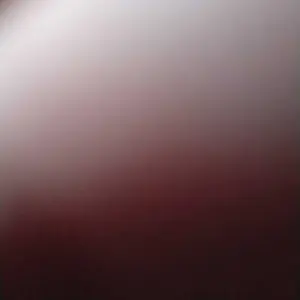 Roundup Herbisida 486SL 1 Liter Pembasmi Rumput Liar & Gulma racun  rumput