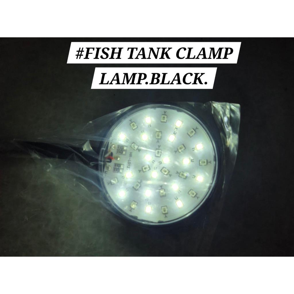 BlackBody ColdLight Fish Tank Clamp Lamp Aquarium Black Cold White Warm LED Light Lampu Ikan Akuarium