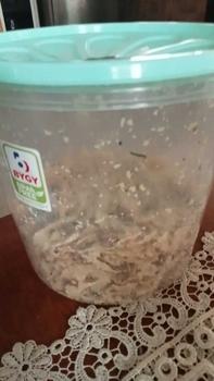 Product Review of Peyek Viral Super Renyah & Gurih - Peyek Kacang - Peyek Kacang Hijau - Peyek Teri - Peyek Udang Rebon - Snack Makanan Ringan - Food Cemilan from g**g 0