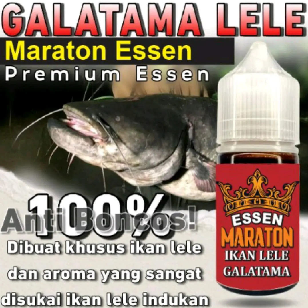 Essen Ikan Lele Galatama MARATON Essen Gacor anti Boncos Umpan Mancing