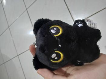 Product Review of [ENH] Unoff Enhypen Doll Plushie Jay Jake Heeseung Niki Jungwon Sunoo Sunghoon Boneka karakter Toys from k**e 0