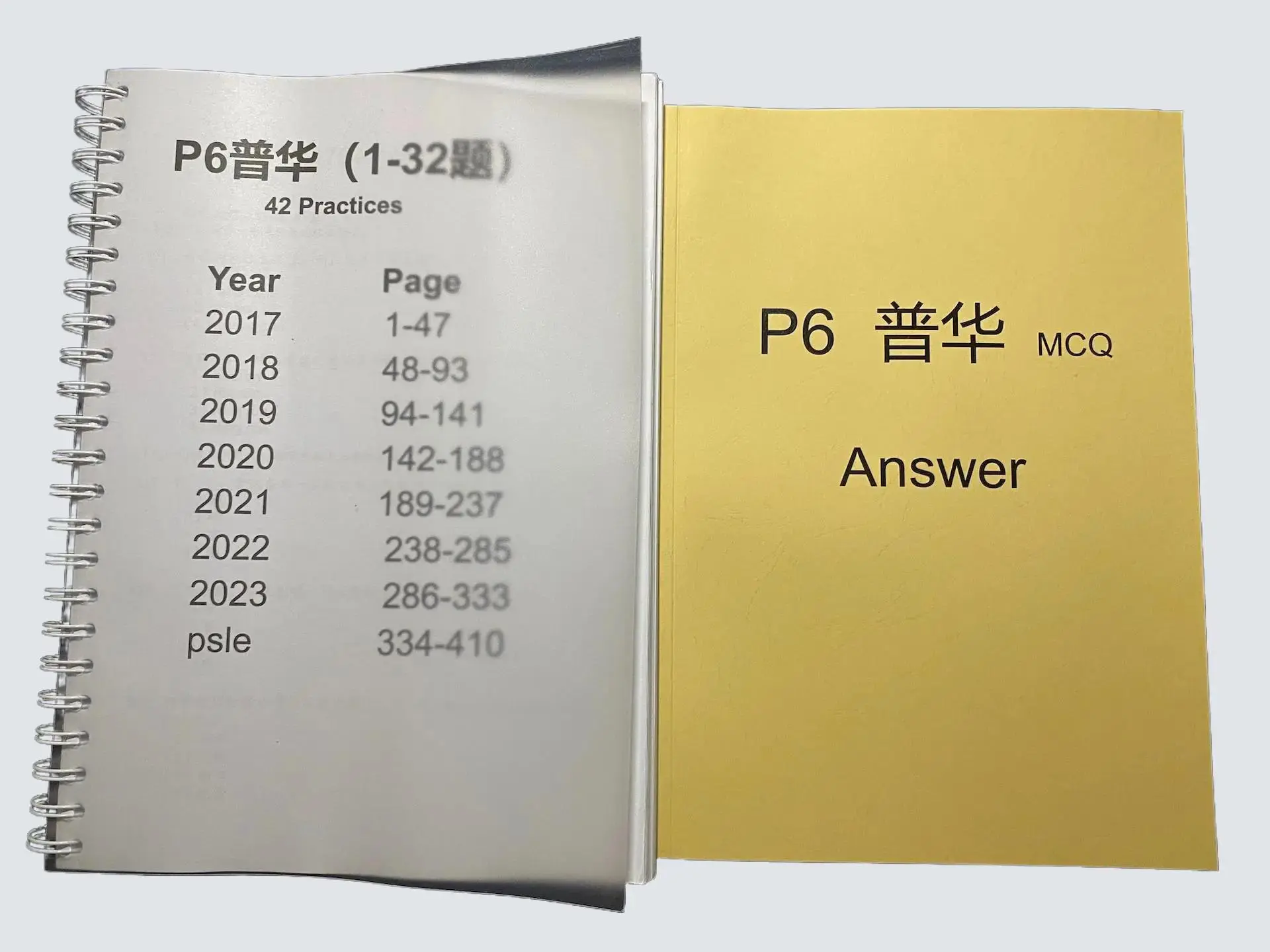 P6 PSLE Chinese(Questions 1-32) Practice Paper