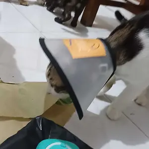 FOLOPETS Kerah Pelindung untuk Kucing - Penutup Pelindung Nyaman & Aman! (Desain Praktis, Cocok untuk Pemulihan Pasca Operasi atau Luka, Bahan Lembut & Ringan)【Diskon Ongkos Kirim Jabodetabek】
