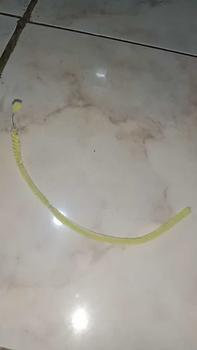 Product Review of 100Pcs Kawat Bulu Mercy Pastel Mix Warna 30cm /Kawat Bulu  Mainan Anak Craft Diy Kerajinan Tangan Pipe Cleaner Beludru untuk Bunga Pipe Cleaner Stem Prakarya Untuk Dekorasi dan Hiasan Import Untuk Pakaian Craft Diy Kerajinan Tangan Pipe Cleaner from c**a 0