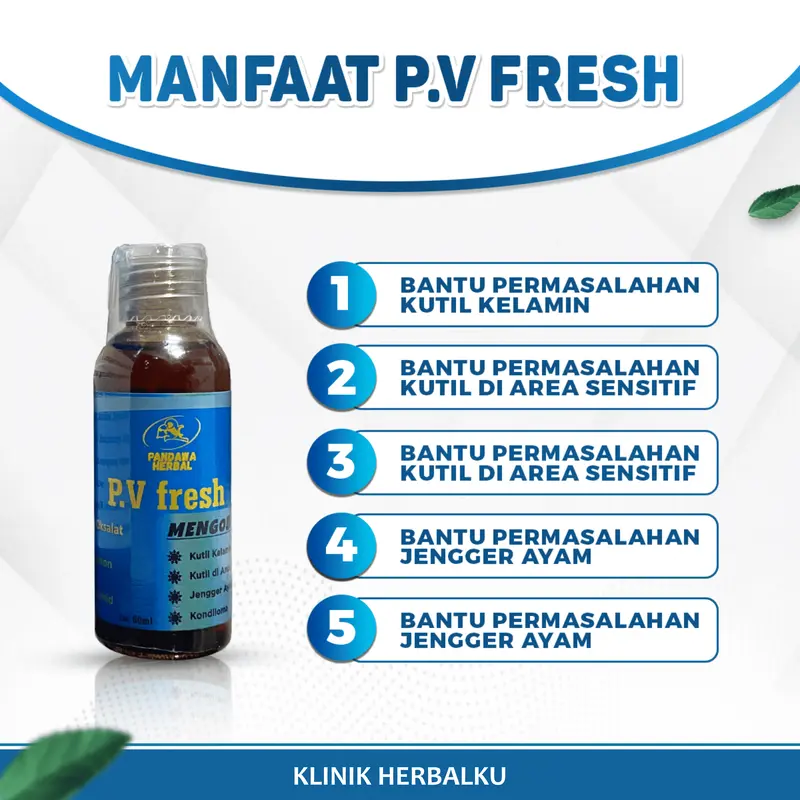 Pandawa dan P.V Fresh: Perawatan Praktis dan Aman untuk Bantu Masalah Kantil Pada Area Sensitif 4