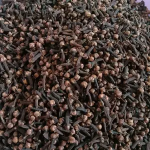 cengkeh kering kualitas premium/cengkeh Sulawesi/cengkeh Zanzibar/cengkeh bumbu dapur