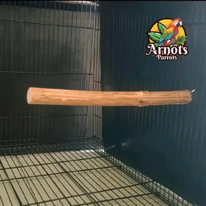 TANGKRINGAN KAYU KOPI UNTUK PARROT