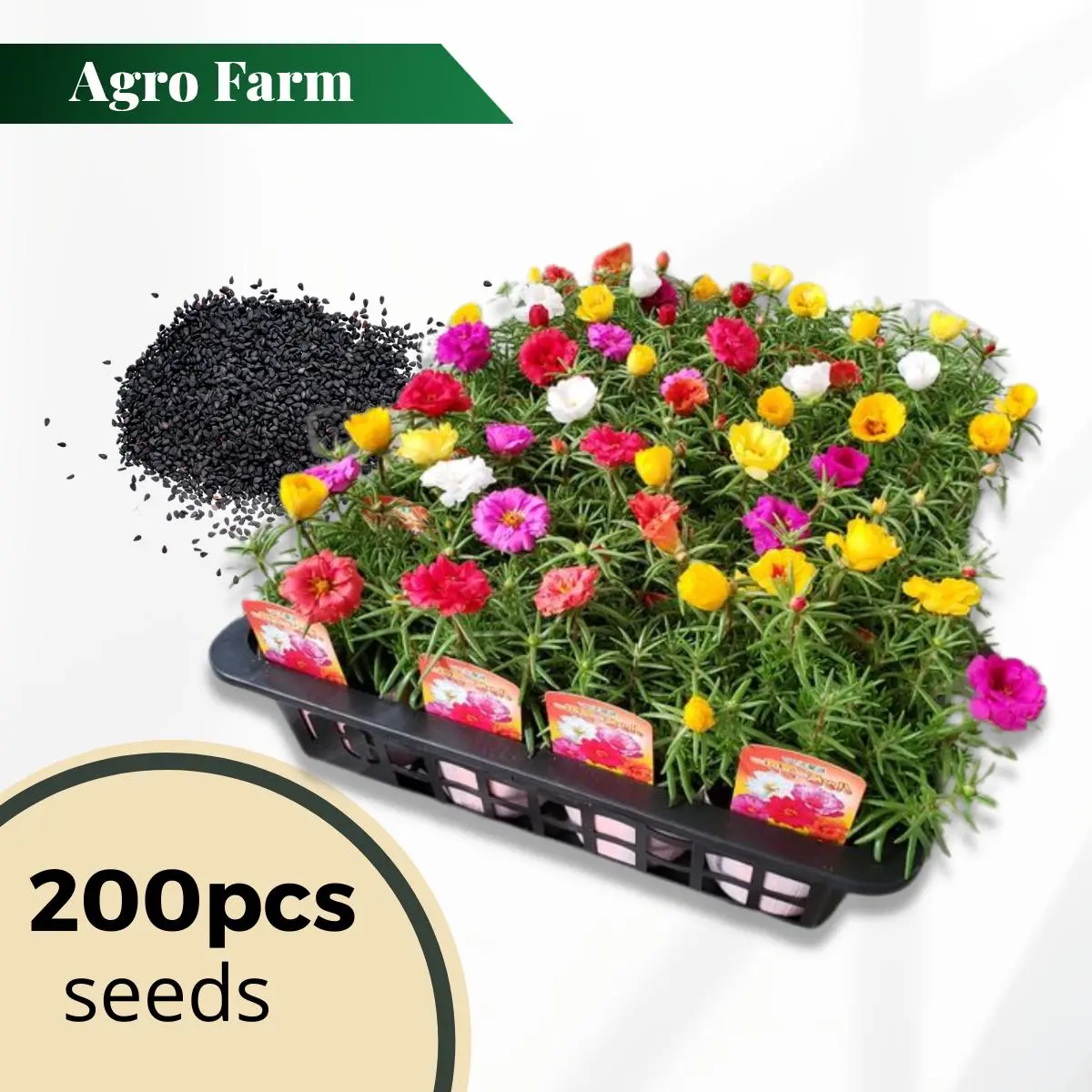 Japanese Rose Seed / Rose Moss Flower Seed / Biji Bunga Rose Jepun