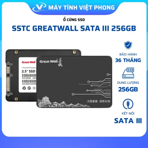 Ổ CỨNG SSD GREATWALL GC25 256GB 2.5" SATA III CHÍNH HÃNG BẢO HÀNH 3 NĂM