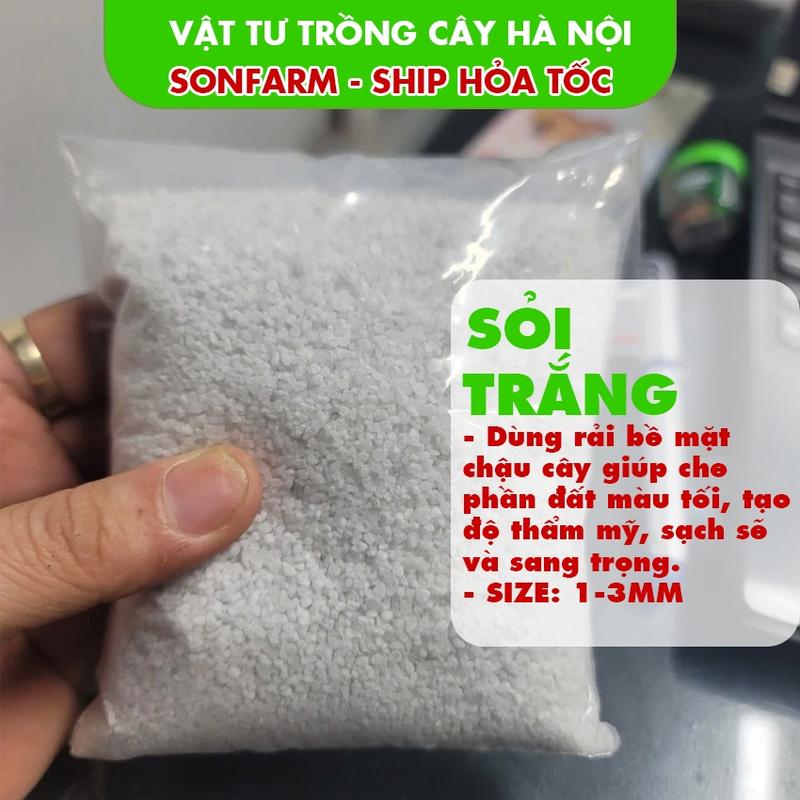 Sỏi Xanh Dương Muối Biển 1-3mm Rải Nền Bể Cá Cảnh, Trang Trí Chậu Cây, Làm Tiểu…
