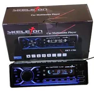 Single Din Radio Usb BT Skeleton