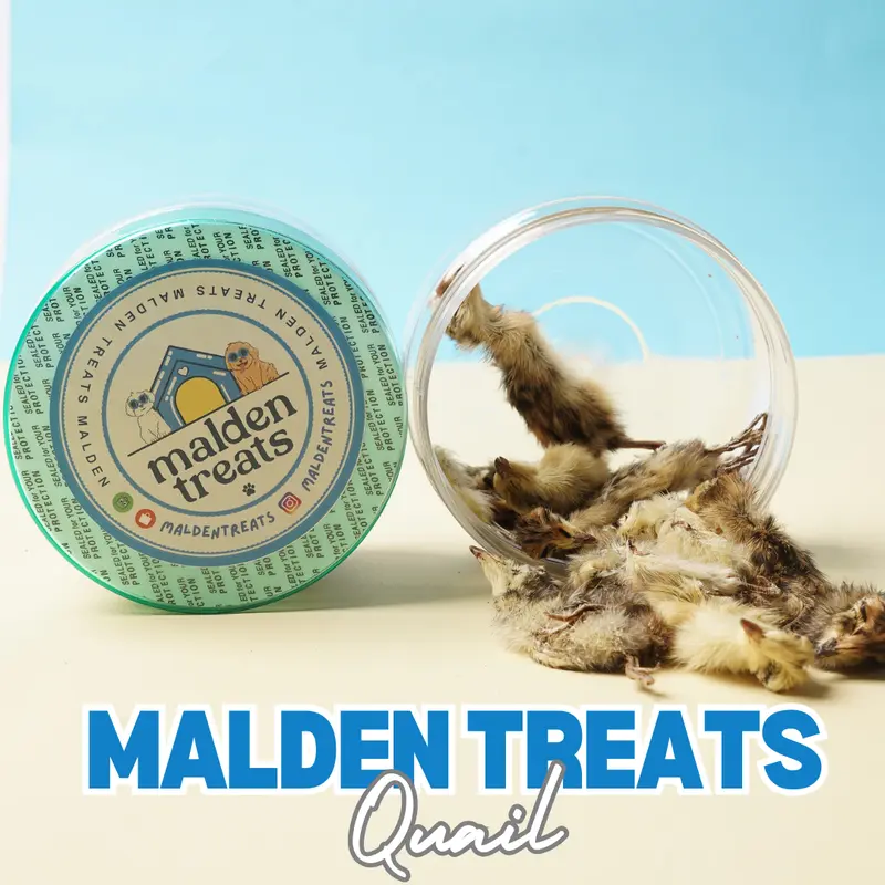 Malden Treats Dehydrated 100% Quail 2