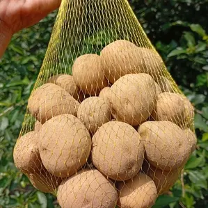 Kentang kecil Dieng Wonosobo 1 kg Isi Kurang Lebih 30 an lebih, Kualitas Terbaik untuk Masakan Anda