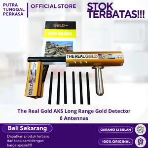 The Real Gold AKS Long Range Gold Detector 6 Antennas
