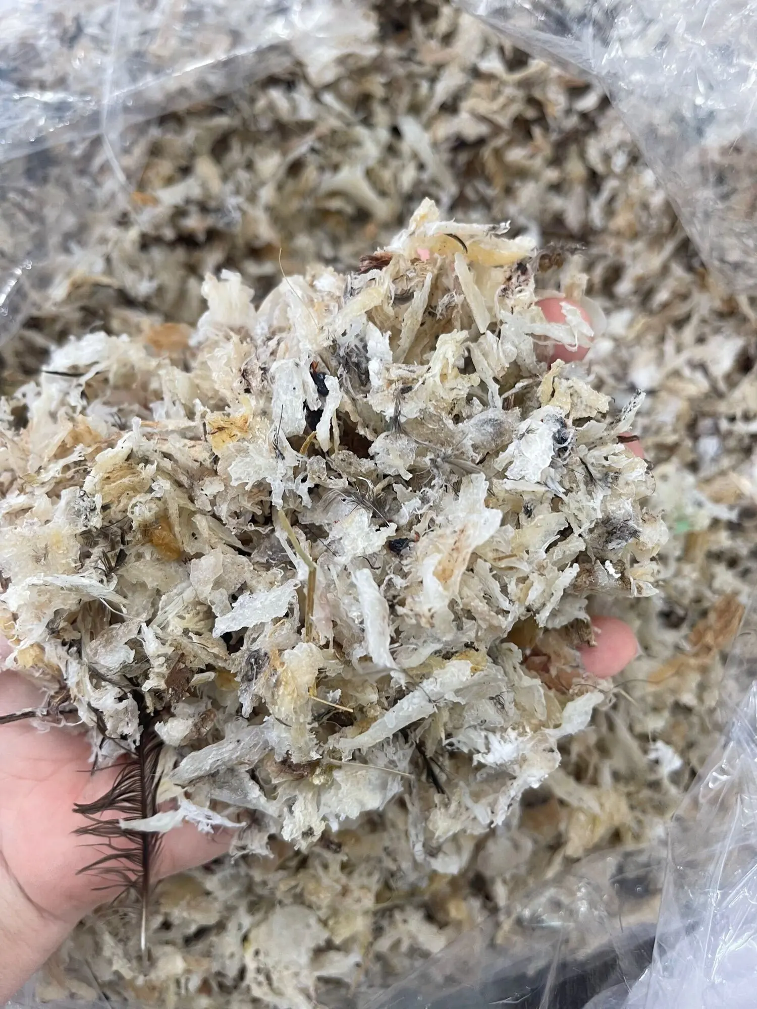 Yến vụn Khánh Hòa tặng kèm quà