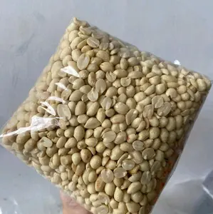 Kacang Kupas Mentah 1kg - Ukuran Sedang 61-71 - Tanpa Ayak - Original
