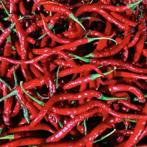 Cabe Merah Kriting 200,500 gr dan 1 kg (Ready dan Fresh)