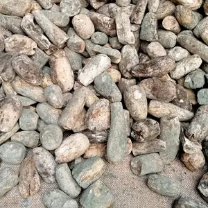keripik ( gatet/gatot) 1 kg/gatot singkong