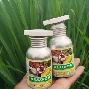 racun tikus alufos 90gr isi kurang lebih 30butir cocok buat hama tikus di sawah terbukti ampuh