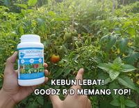 Gambar Pupuk Daun Nutrisi Mikro Makro ZPT Goodzer D NPK 45-10-10 Hijau Tanaman dari PUROTANI.ID Kab. Purworejo 4 Tokopedia